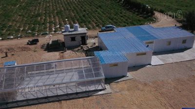 بعد غد، افتتاح مجففات الخضروات بنظام الطاقة الشمسية في الأقصر لأول مرة