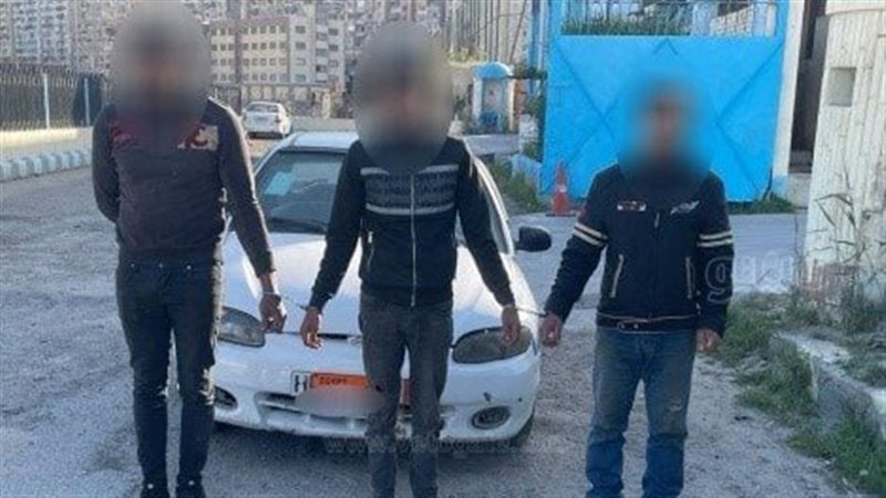 تشكيل عصابى لسرقة،فيتو
