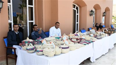 وزير التنمية المحلية ومحافظ الفيوم يتفقدان معرض 
