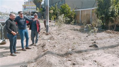 حملات نظافة وزراعة 100 شجرة مثمرة في شوارع وميادين الدقهلية (صور) 