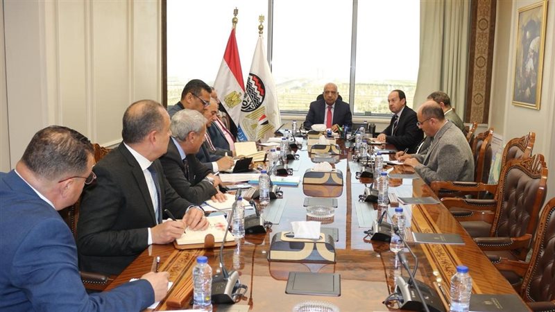 وزارة قطاع الأعمال،