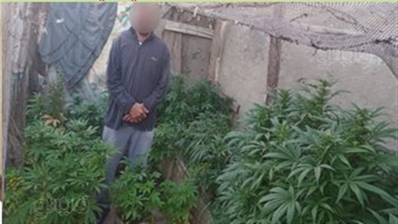 سقوط 9 عناصر إجرامية،