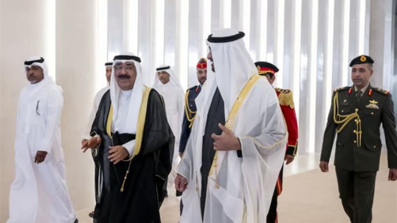 رئيس الامارات وامير