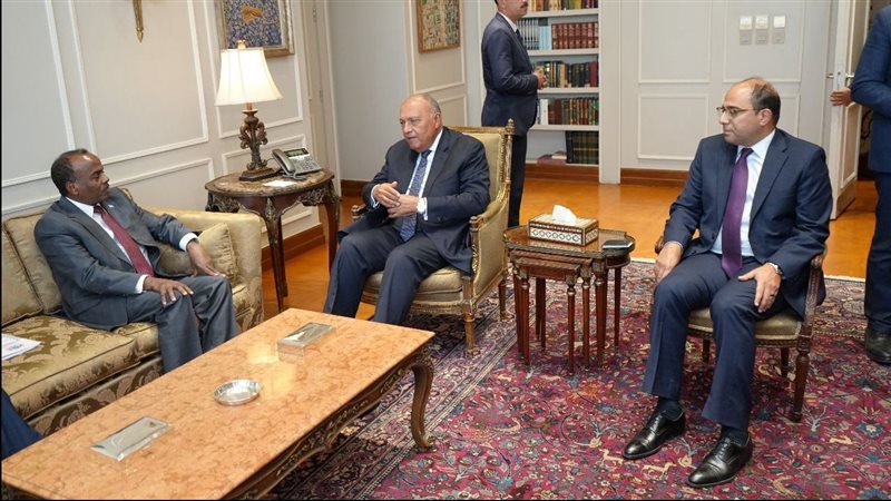 سامح شكرى وزير الخارجية،