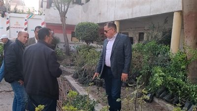 البحيرة تتسلم 5600 شجرة لزراعتها في إيتاي البارود 