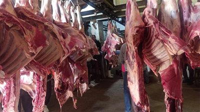 وزير التموين: التعاقد على 20 ألف رأس ماشية من جيبوتي لشهر رمضان وعيد الأضحى