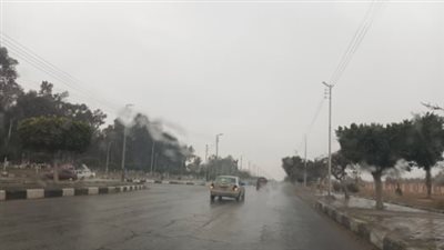 دافىء نهارا.. حالة الطقس غدا الخميس 07-03-2024 فى مصر