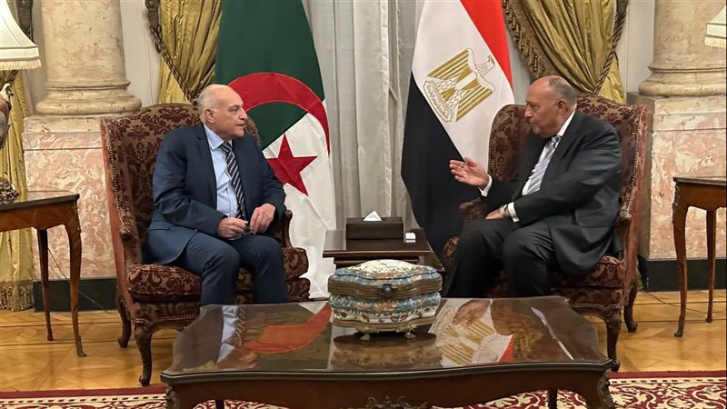 سامح شكرى وزير الخارجية،