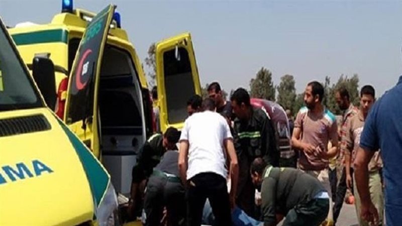 طالب يقتل زميله بالقليوبية،