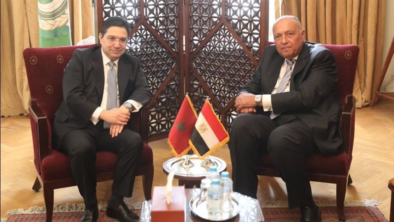 سامح شكري وزير الخارجية