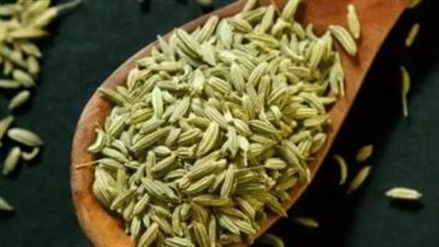 تناول الشمر يوميا حفاظا على صحتك وجمالك