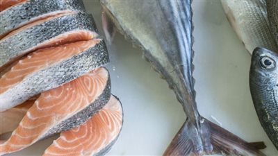 فوائد سمك السلمون المرقط، في اليوم العالمي لمكافحة السمنة