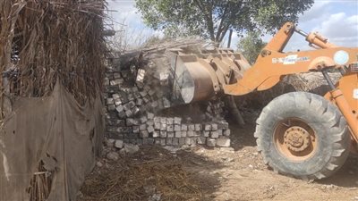 إزالة 28 حالة تعد على الأراضي الزراعية في البحيرة (صور)