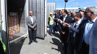 مدبولي يتابع الإفراج الجمركي عن المواد الغذائية والأدوية في الموانئ (صور) 