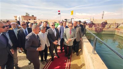 تنتج 17 طنًا، محافظ شمال سيناء يتفقد مزرعة أم شيحان السمكية (صور)