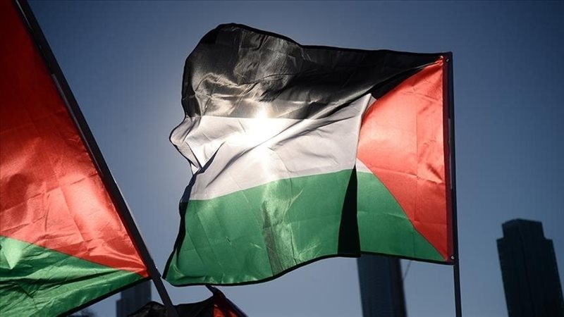 علم فلسطين، فيتو