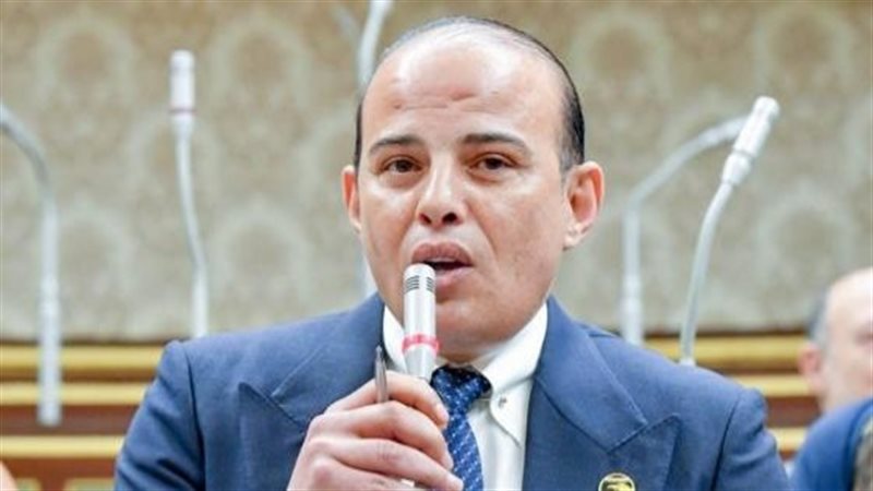 النائب عمرو قطامى،فيتو