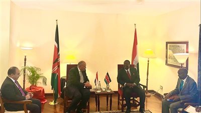 شكري يؤكد لنظيره الكيني دعم مصر الكامل لاستقرار بلاده ووحدة وسلامة أراضيه