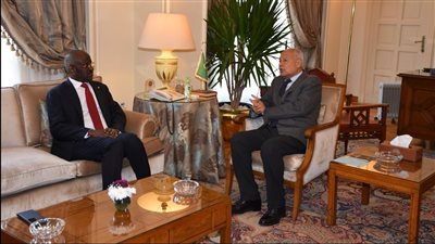 أبو الغيط يناقش مع وزير خارجية موريتانيا التطورات في المنطقة والعدوان على غزة