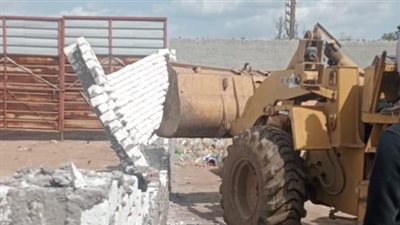 إزالة 1025 حالة تعد على أراضي زراعية وأملاك الدولة في الشرقية