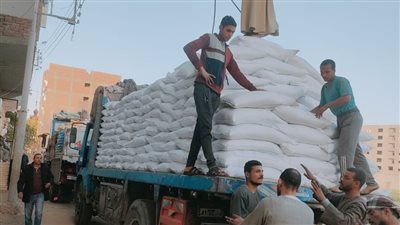 ضبط 20 طن سكر و17 طن أرز بمخزن غير مرخص في أسيوط