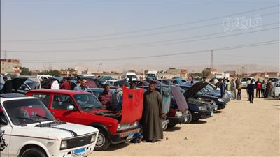 تجار محافظات شمال الصعيد يتوافدون على سوق السيارات المستعملة في بني سويف (فيديو)