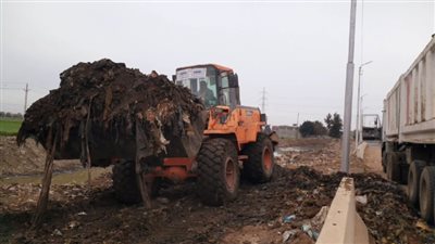 رفع 1000 طن قمامة بمنطقة سبرباي أمام مول طنطا (فيديو)