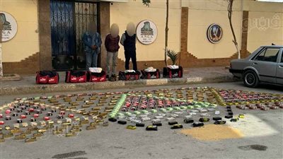 ضبط نصف طن حشيش بـ 50 مليون جنيه بحوزة عصابة فى السويس