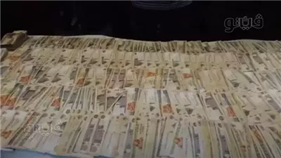  القبض على عاطل متهم بغسل 80 مليون جنيه من تجارة المخدرات في الشرقية