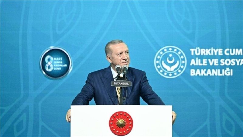 أردوغان، فيتو 