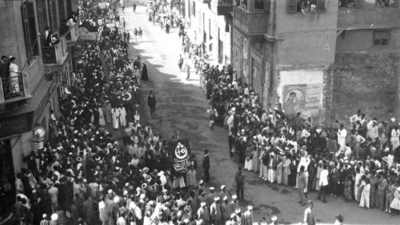 ثورة 1919،فيتو