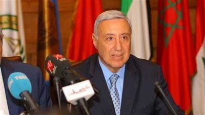 الدستورية العليا ترفض الطعن على المادة 156 من قانون الزراعة