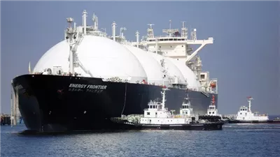 205 مليون طن سنويًّا.. القيمة المتوقع إنتاجها من الغاز حتى 2030 (إنفوجراف)