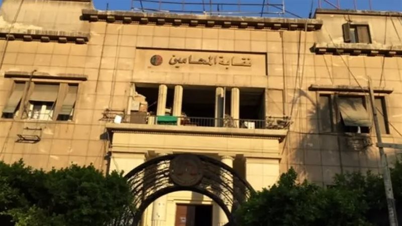 نقابة المحامين،فيتو