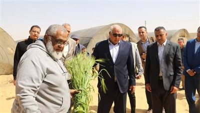 محافظ الوادي الجديد يتفقّد مشروع الصوب الزراعية بواحة الخارجة 