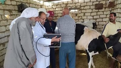 ندوات للتوعية بأعراض الأمراض الطفيلية للماشية في قرى أطفيح والصف اليوم 