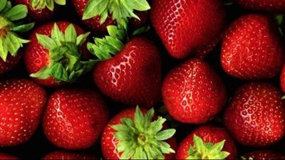 فوائد الفراولة، مهمة للصحة.. قدميها عصيرا على الإفطار في رمضان 