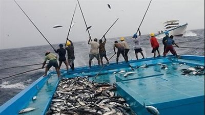 هل يجوز للسفن الأجنبية التنقل دون قيود بين الموانئ المصرية؟ 