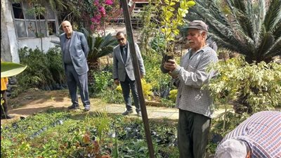 زراعة 100 مليون شجرة تجتاح قرى ومراكز محافظة الدقهلية 