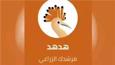 طلب إحاطة بشأن عدم فاعلية تطبيق هدهد لخدمة الفلاح 