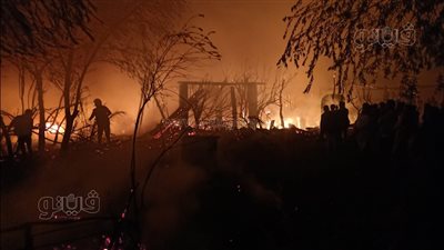 مصرع شاب وإصابة اثنين آخرين ونفوق 12 رأس ماشية في حريق هائل ببني سويف (صور)