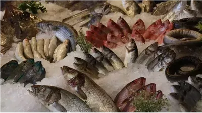  من 150 لـ 1000 جنيه، ننشر أسعار أغلى الأسماك في السوق المصري