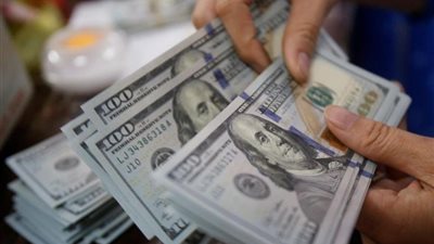 خبير اقتصاد يكشف عن حل خارج الصندوق لزيادة الحصيلة الدولارية