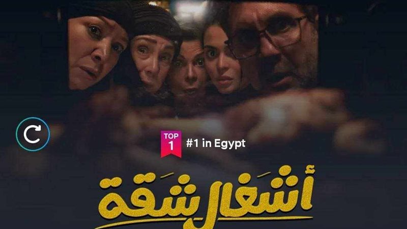 مسلسل أشغال شقة،
