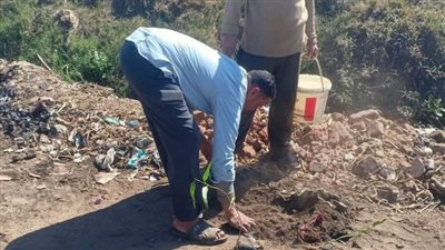 انطلاق مبادرة زراعة 100 مليون شجرة في البحيرة 