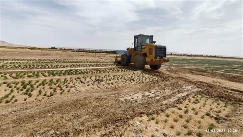 إزالة تعديات على