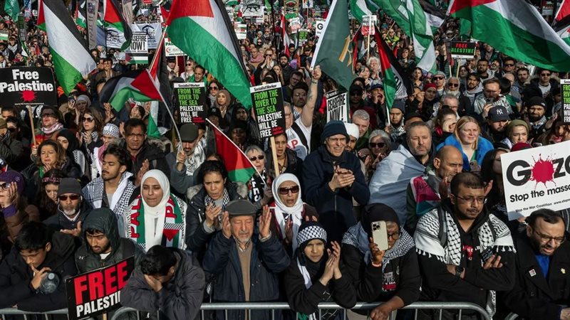 مظاهرات مؤيدة لفسطين،
