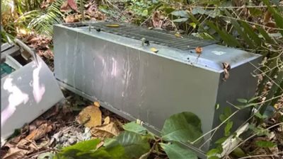 وضعت الجثة في ثلاجة، تفاصيل حادثة مقتل امرأة على يد ابنتها 