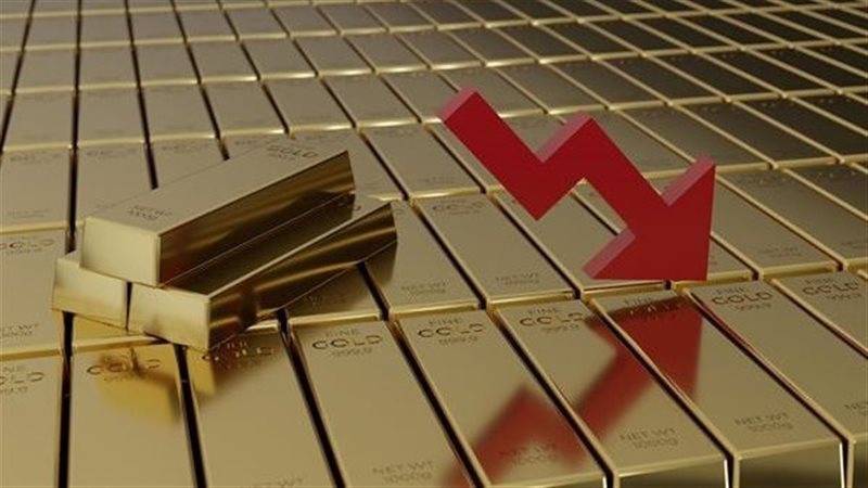 مؤشر الذهب، فيتو
