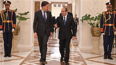 نشاط الرئاسة الخارجي في أسبوع، السيسي يحذر من أية عمليات عسكرية برفح الفلسطينية